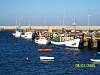 s100_2743.jpg