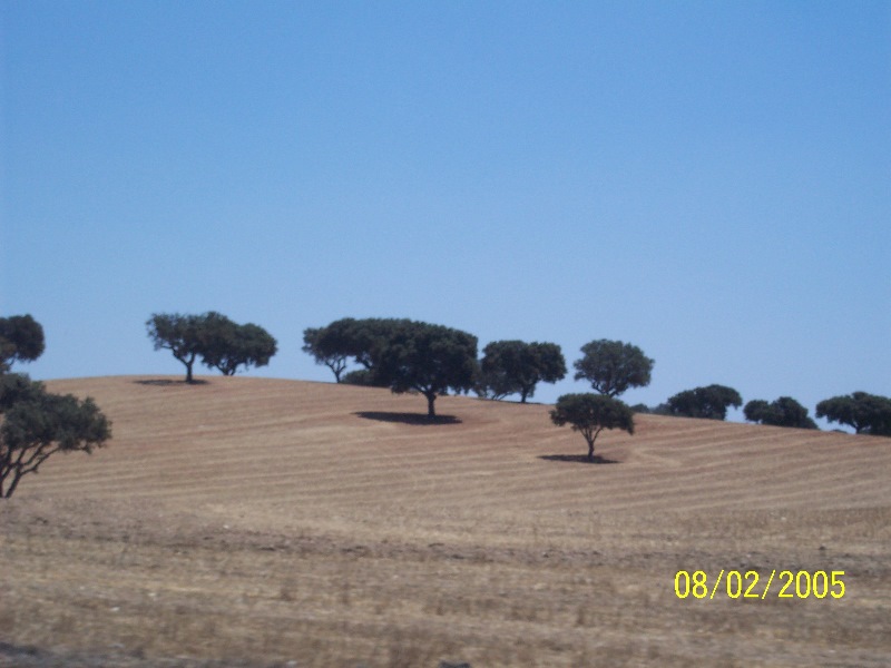 s-100_2766.jpg