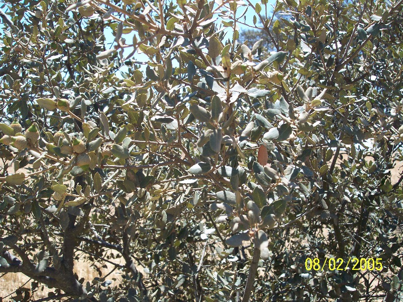 s-100_2769.jpg