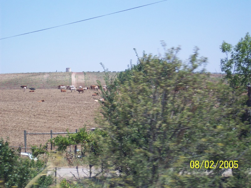 s-100_2773.jpg