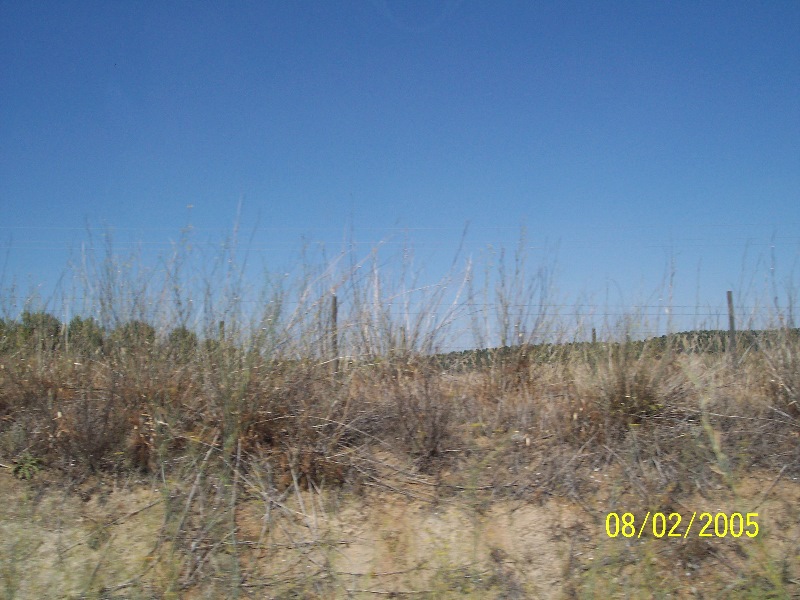 s-100_2779.jpg