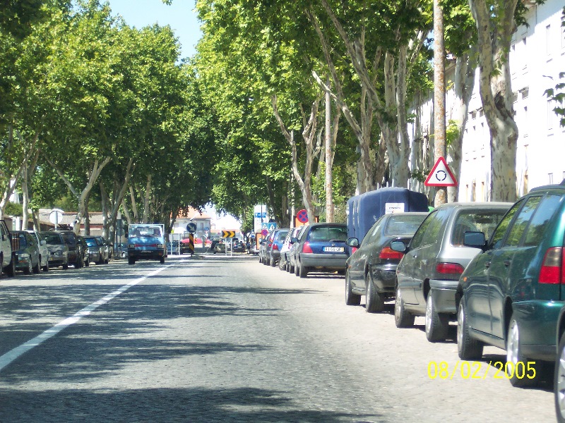 s-100_2787.jpg