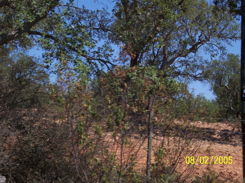 s-100_2822.jpg