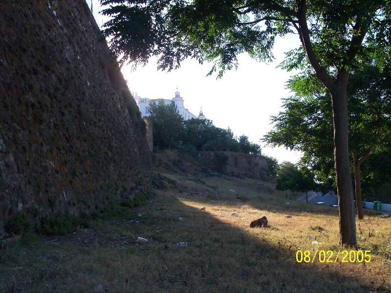 s-100_2879.jpg