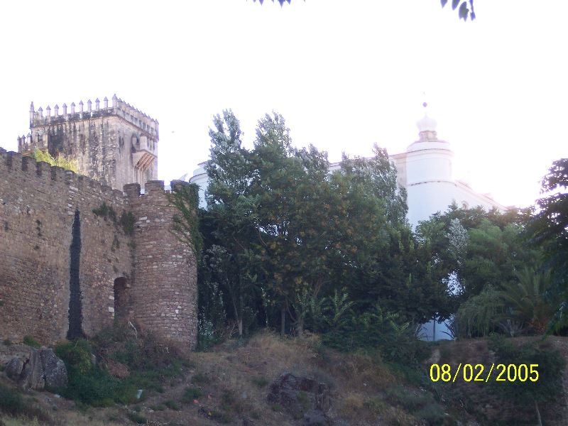 s-100_2881.jpg