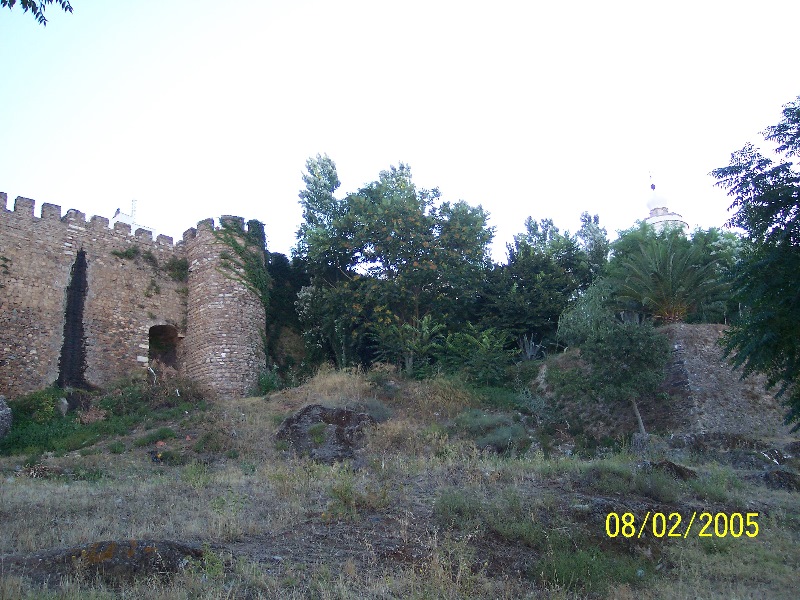 s-100_2882.jpg