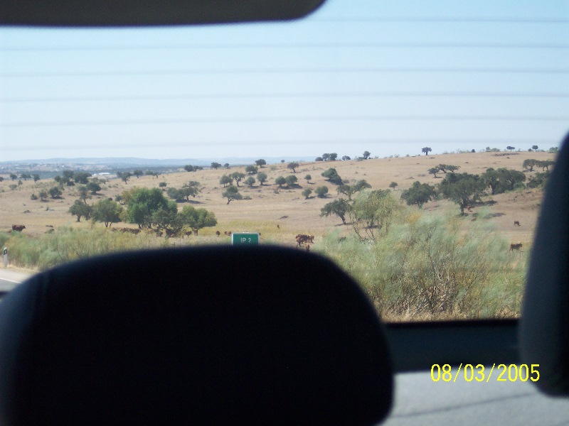 s-100_3010.jpg