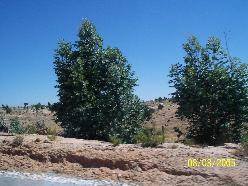 s-100_3013.jpg
