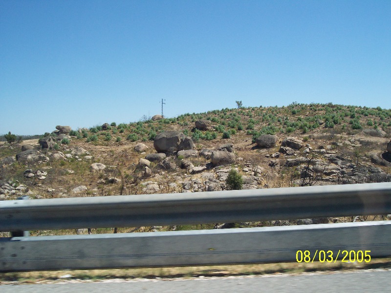 s-100_3015.jpg