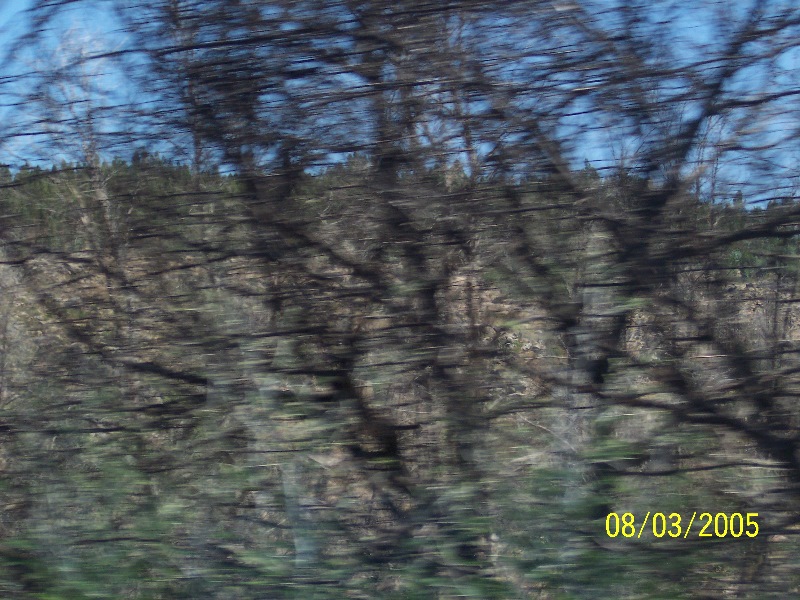 s-100_3017.jpg