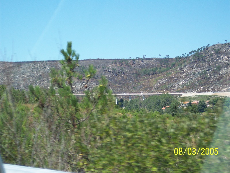 s-100_3030.jpg