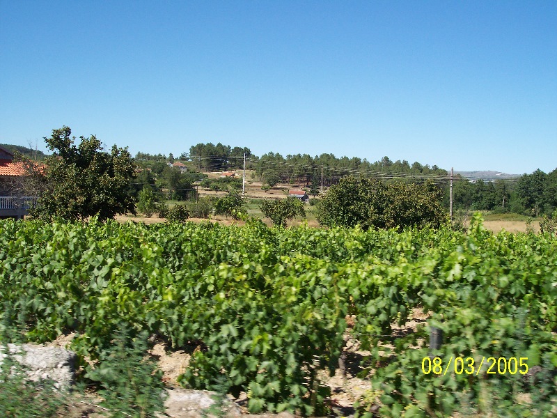 s-100_3043.jpg