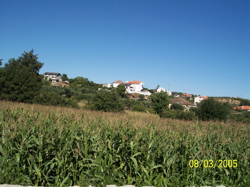 s-100_3048.jpg