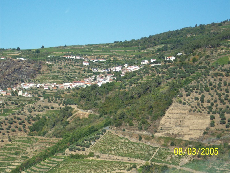 s-100_3074.jpg