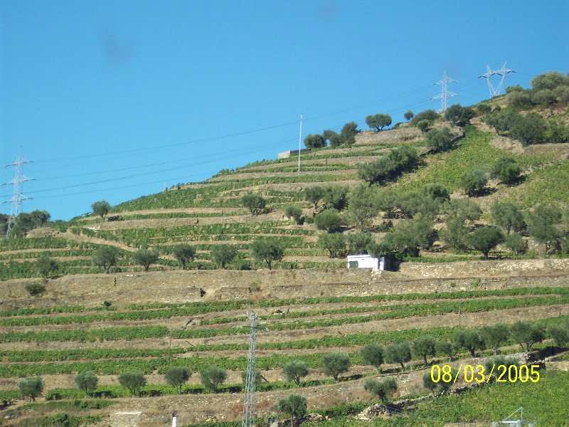 s-100_3077.jpg