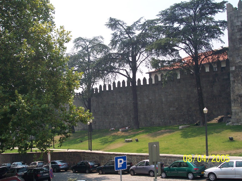 s-100_3108.jpg