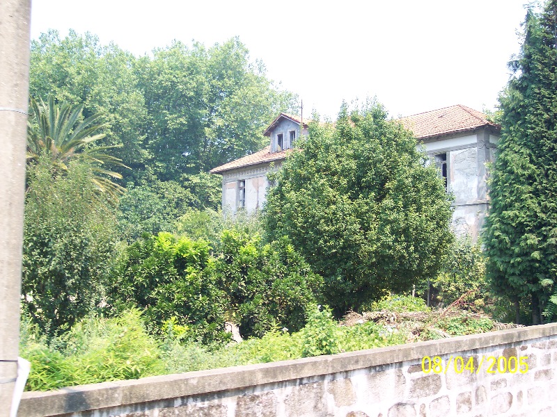 s-100_3142.jpg