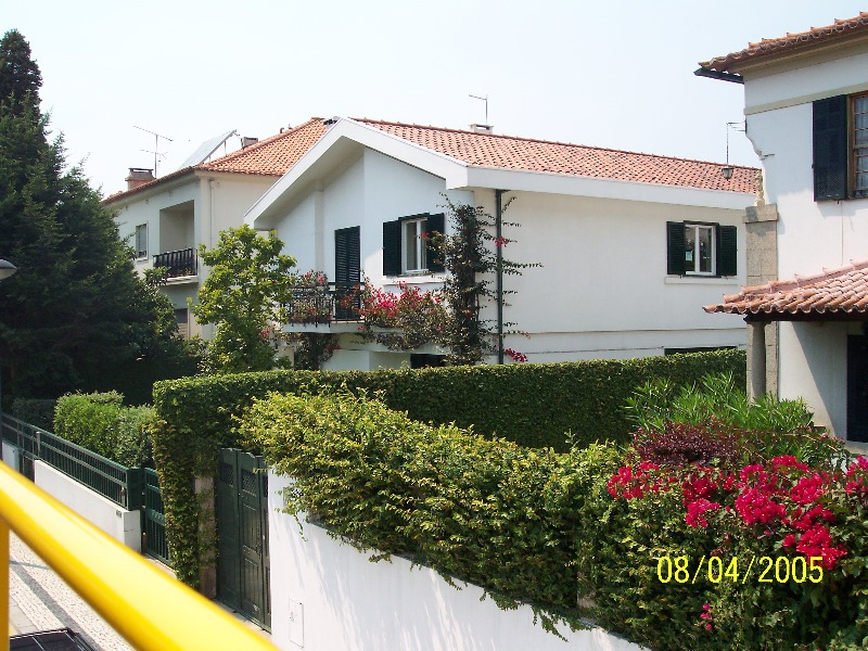s-100_3147.jpg