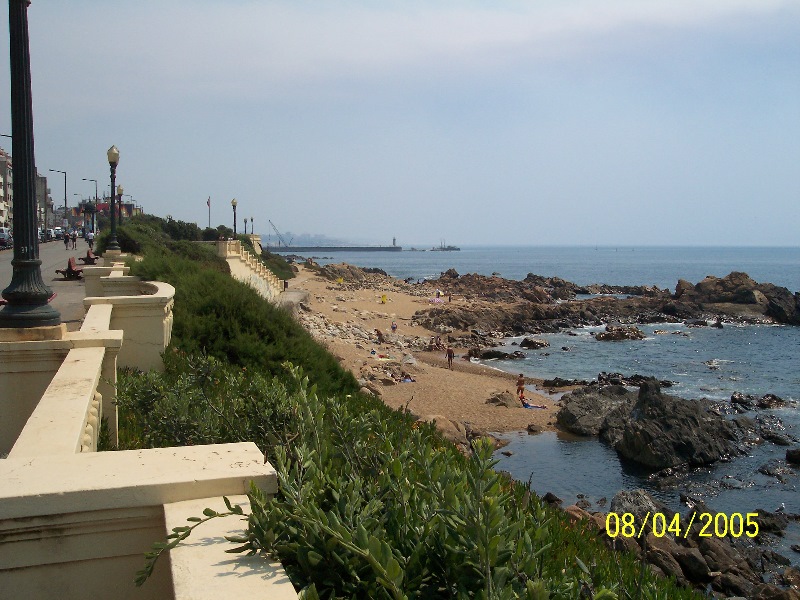 s-100_3153.jpg