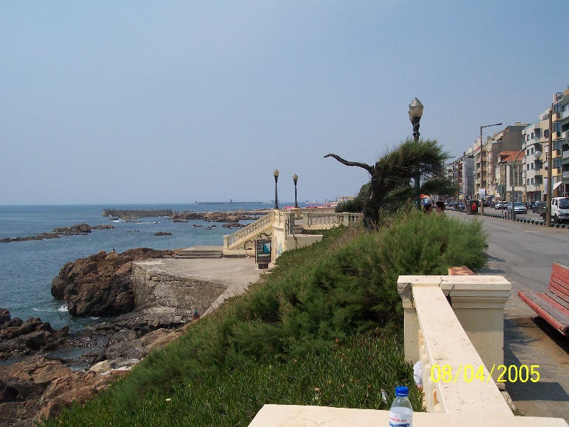 s-100_3154.jpg