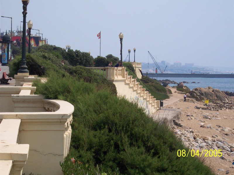 s-100_3155.jpg