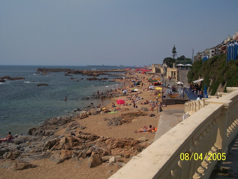 s-100_3156.jpg