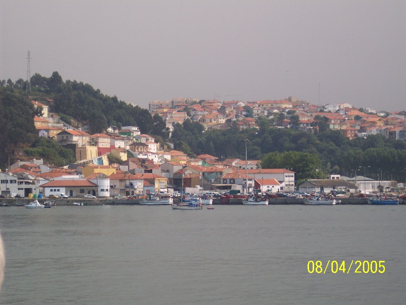 s-100_3174.jpg