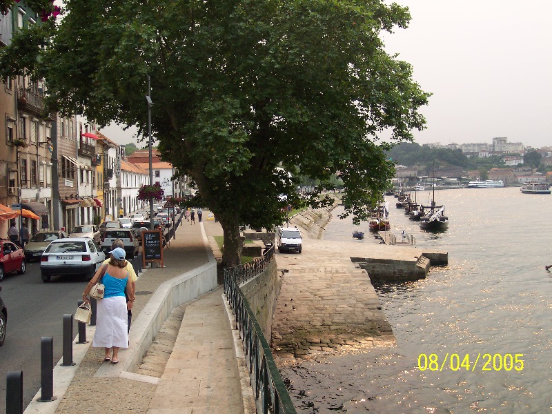 s-100_3226.jpg