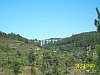 s100_3029.jpg