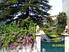 s100_3139.jpg