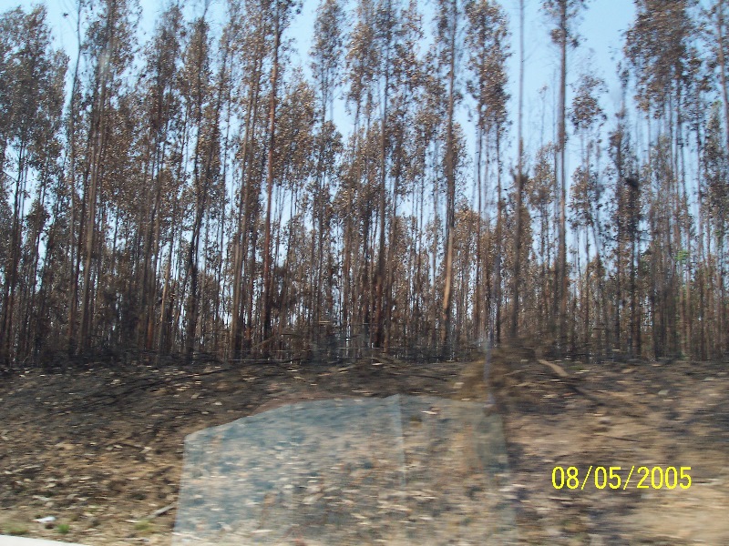 s-100_3243.jpg