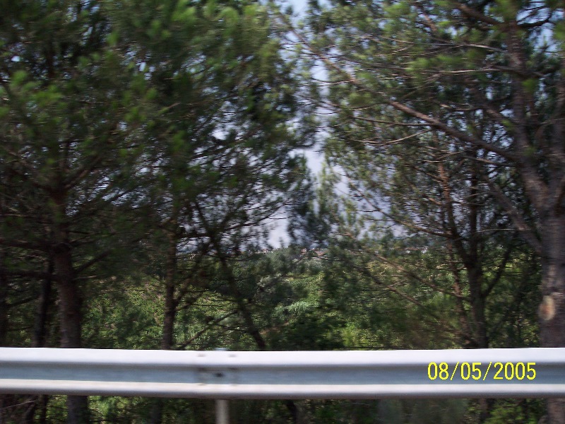 s-100_3246.jpg