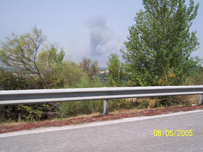 s-100_3248.jpg