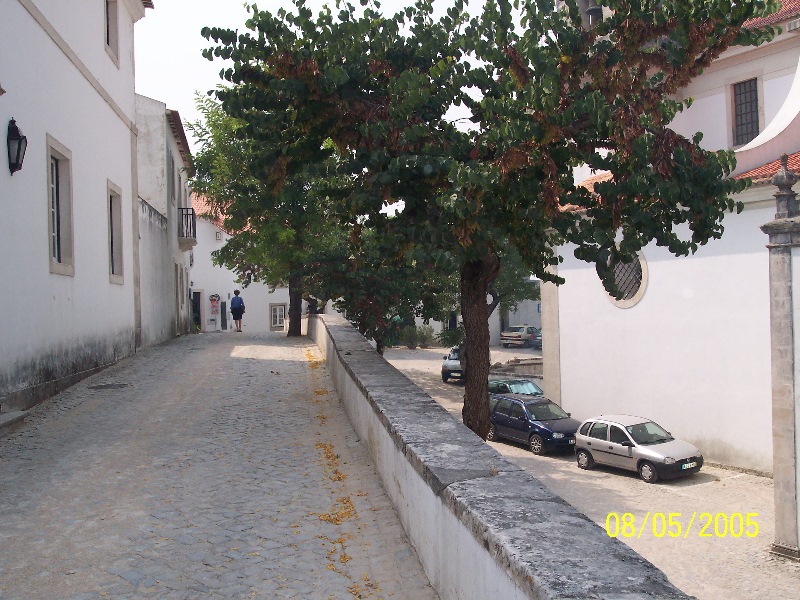 s-100_3259.jpg