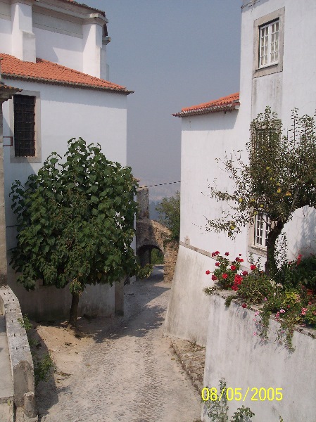 s-100_3260.jpg
