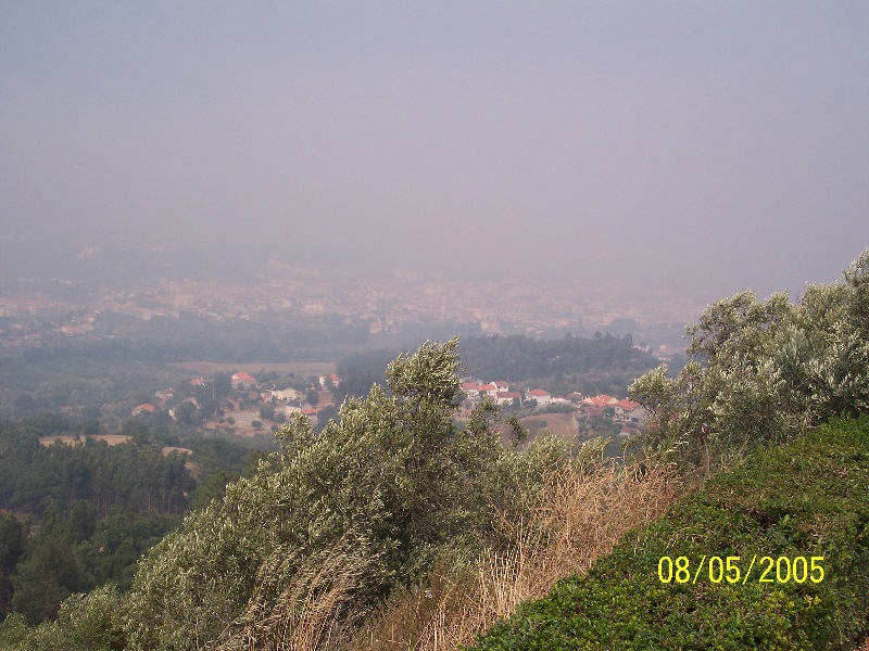 s-100_3261.jpg
