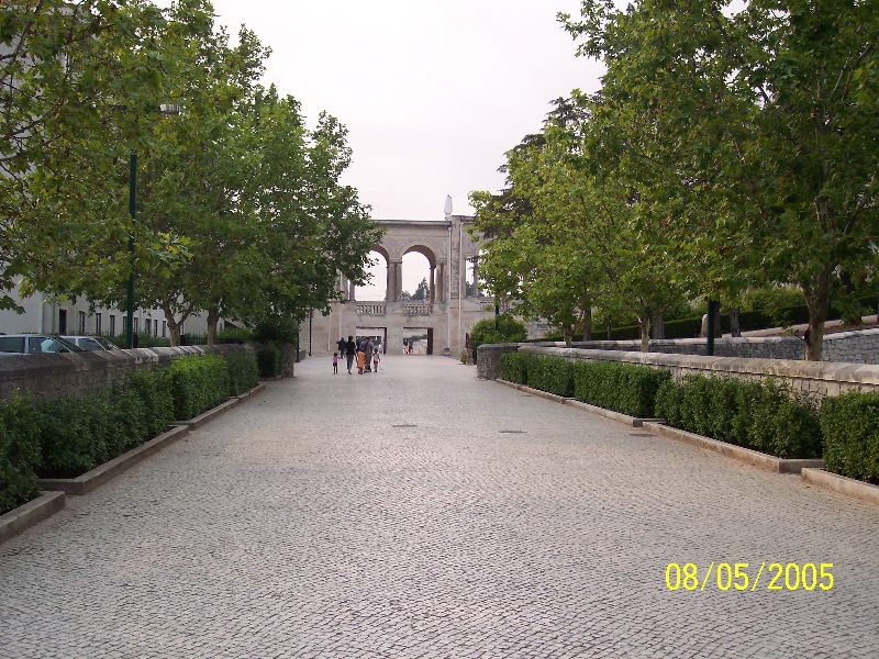 s-100_3286.jpg