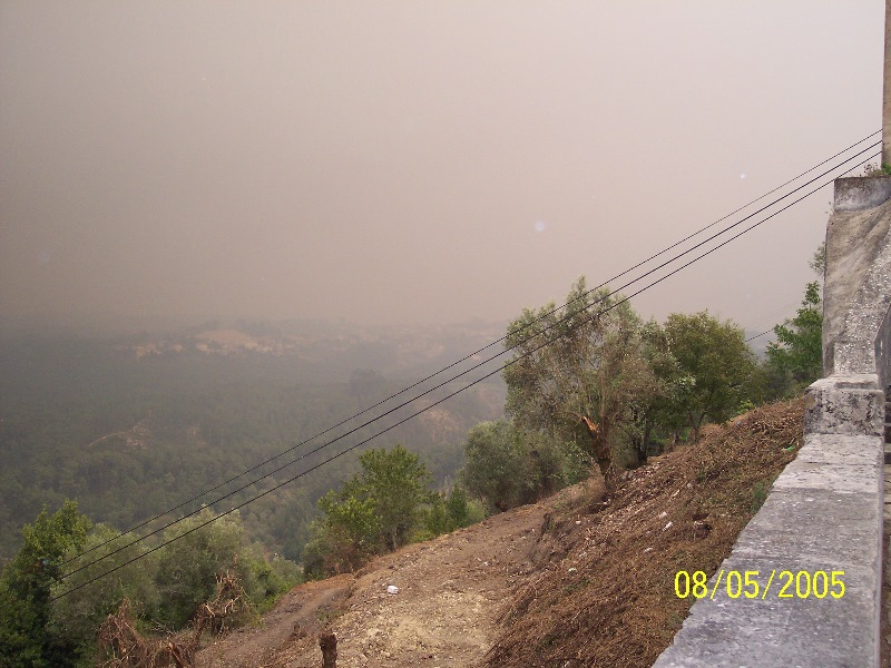 s-100_3295.jpg