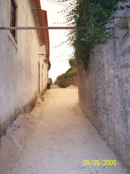 s-100_3296.jpg