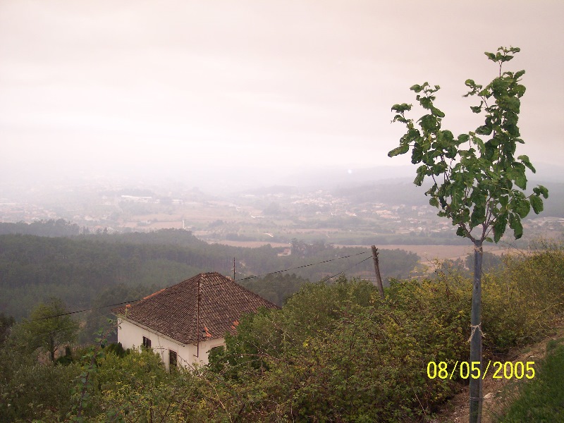 s-100_3300.jpg