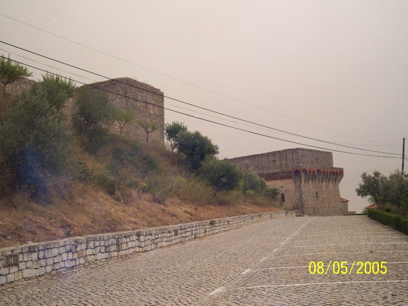 s-100_3301.jpg