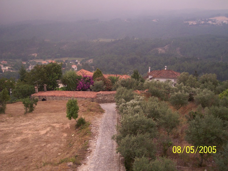 s-100_3310.jpg