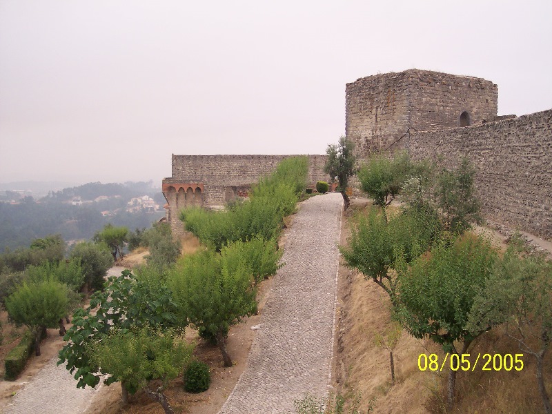 s-100_3311.jpg