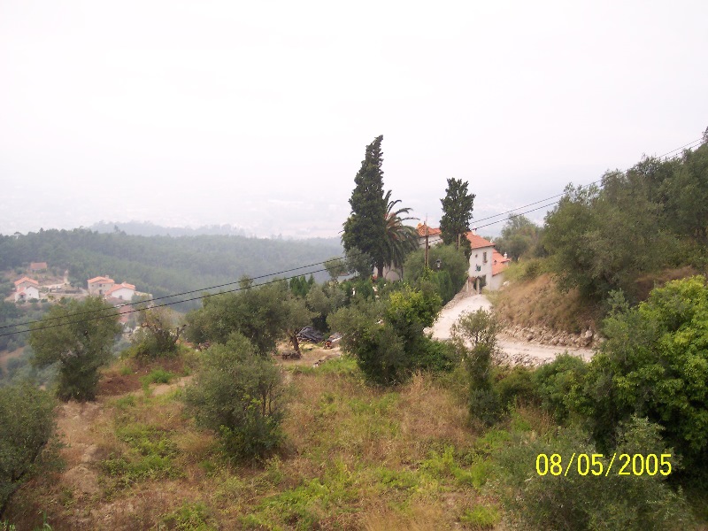 s-100_3319.jpg