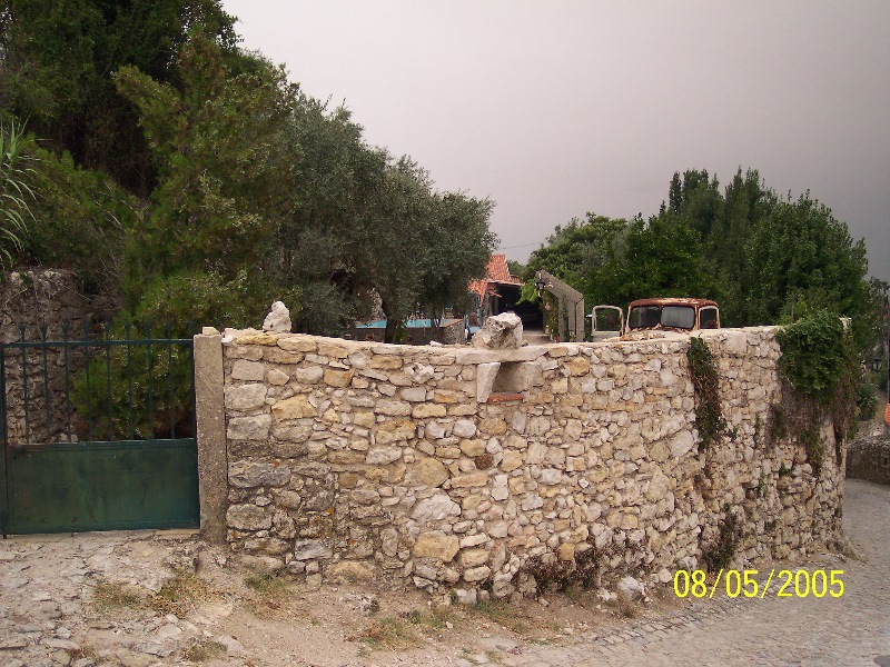 s-100_3332.jpg