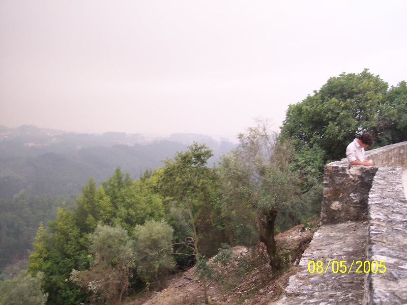 s-100_3337.jpg