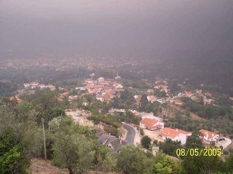 s-100_3338.jpg