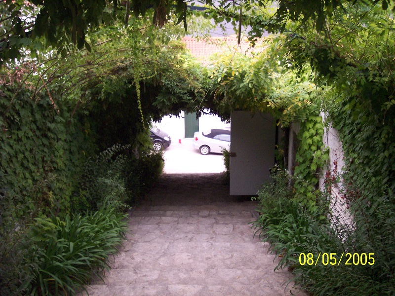 s-100_3340.jpg