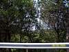 s100_3246.jpg