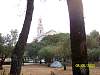 s100_3292.jpg